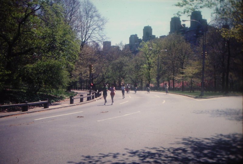 centralpark2.jpg